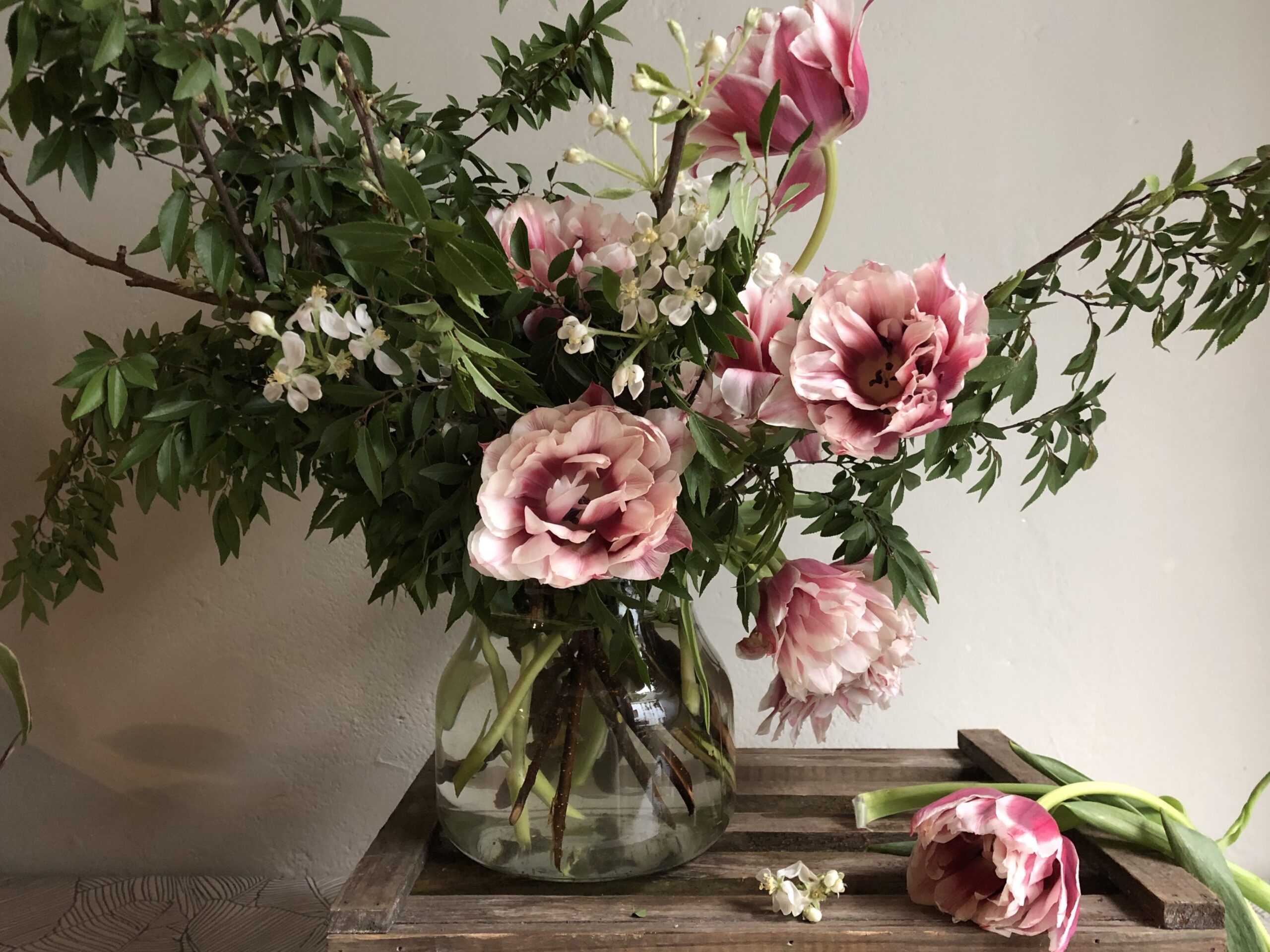 Ephemeral Beauty 1
