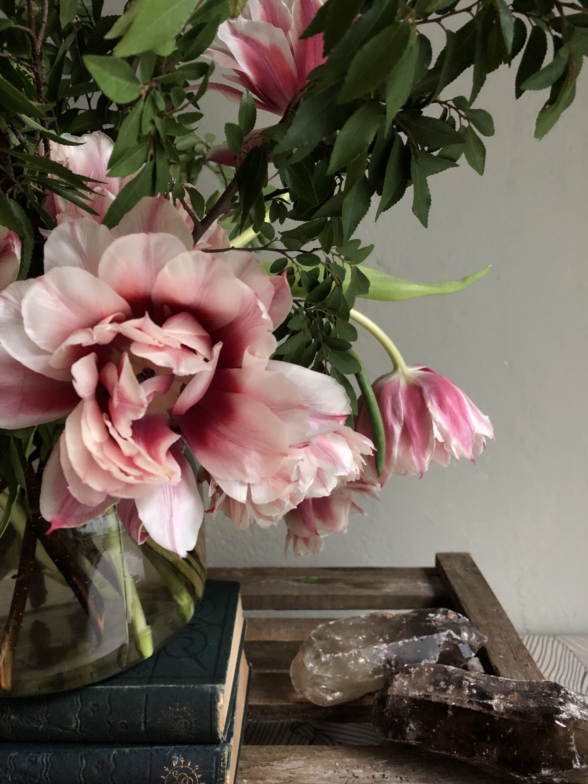 Ephemeral Beauty 2