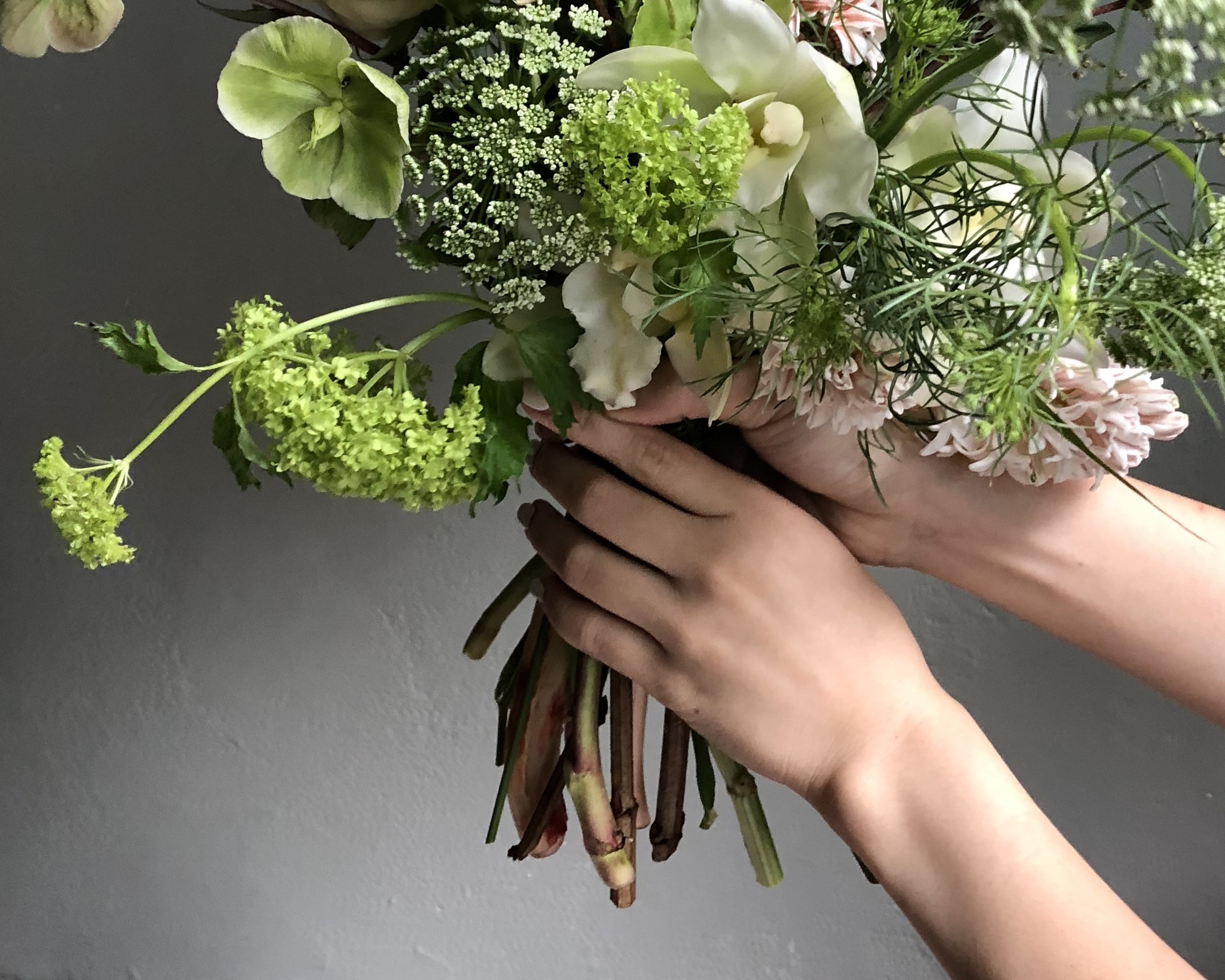 Botanical Art